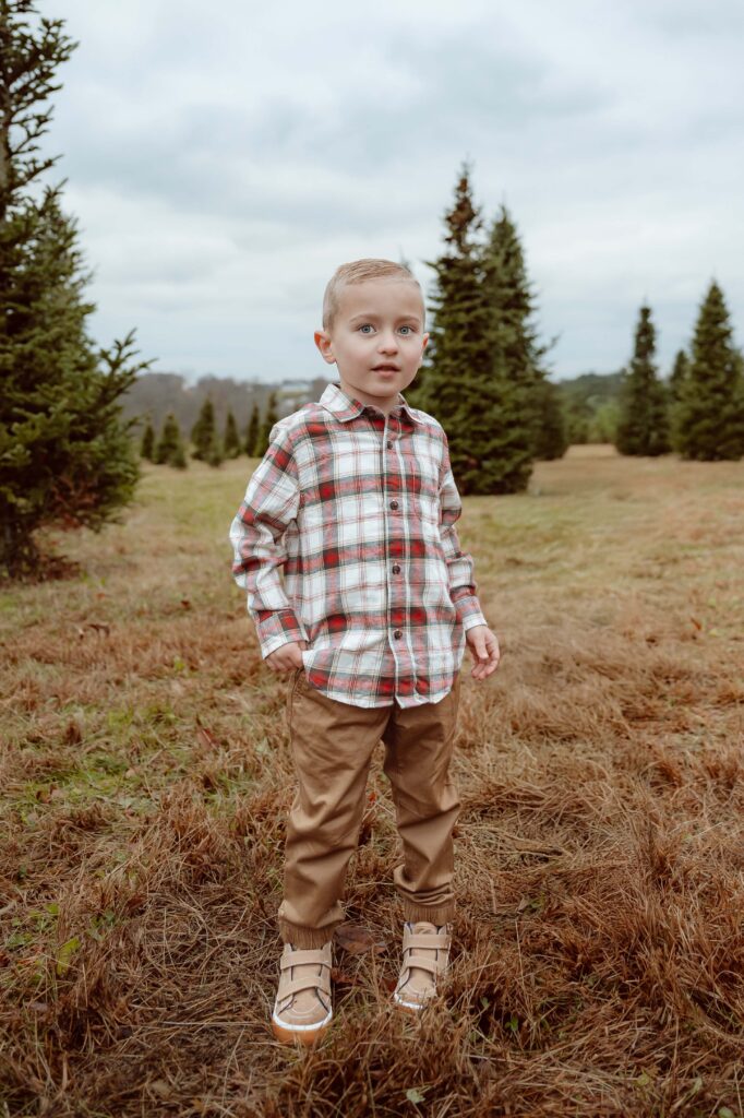 Christmas Photos near Wooster, Ohio