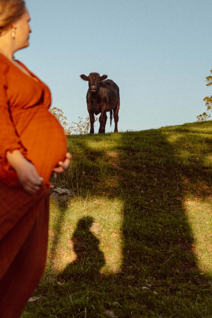 Wooster Maternity Photographer